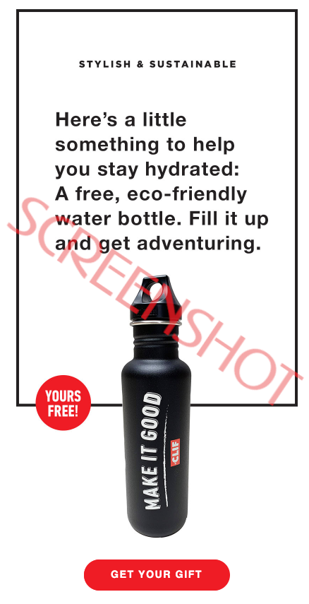FREE Stainless Steel Water Bottle Offer