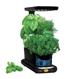 AeroGarden Sprout LED + Pod Kit $59.97