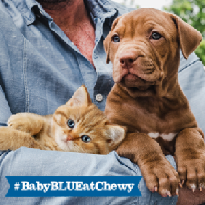 FREE Baby BLUE ​Chewy Chatterbox
