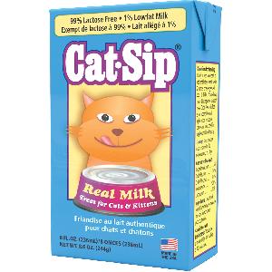 cat sip milk reviews