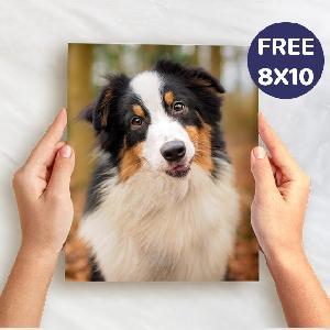 FREE 8x10 Photo Print at Walgreens