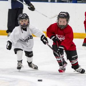 Try Hockey For Free Day on 2/22