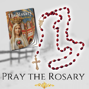 FREE Rosary and Booklet | VonBeau