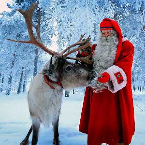 Watch Santa's reindeer live 24/7