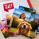Freebie Image