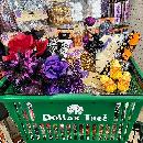 FREE $15 to Spend at Dollar Tree