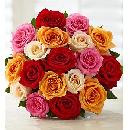 18 Free Roses Just Pay Shipping