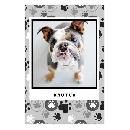 4x6 Same Day Photo Magnets 99¢ each