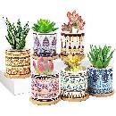6-Pack Ceramic Succulent Plant Pots $13.48