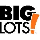 Big Lots 20% Off on Jan 26th