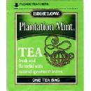 Bigelow Mint Tea Sample