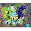 Free Snapple K-Cup Sample Pack