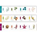 AirCraft ScentSticks Sample