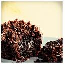 Free Arby's Lava Cake w/purchase