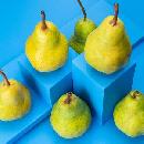 FREE Bartlett Pears Sampling Kit