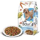 Beneful Healthy Smile Sample