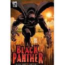 FREE Black Panther Digital Comic Books