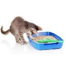 FREE Cat Litter to Test & Keep plus $20