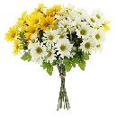 FREE Bouquet of Daises (Select Areas Only)