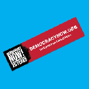 Free Democracy Now Bumper Sticker