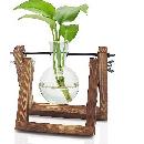 50% Off Plant Propagation Station w/ Stand
