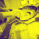 Freebie Image