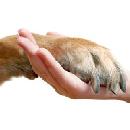 FREE Nail Trim for Dogs at Petco