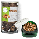 FREE Jar of Dried Morel Mushrooms & More