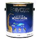 Free Paint at True Value