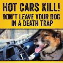 Free Hot Cars Kill Posters