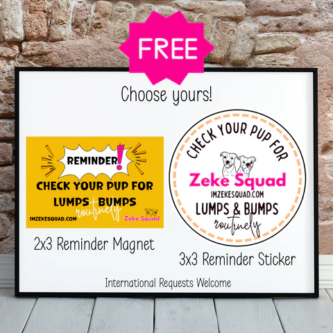 Freebie Image