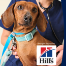 Free Pet Microchipping