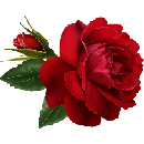 Freebie Image
