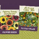 Free Pack of Flower Seeds