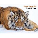 Free 2014 WWF Calendar