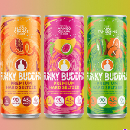 Premium Hard Seltzer Virtual Party Pack