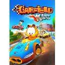FREE Garfield Cart PC Game
