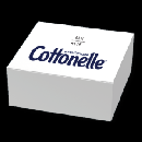 FREE Cottonelle "Down There Care" Box