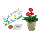 Freebie Image
