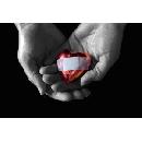 Free Guarding Your Heart DVD