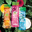 Herbal Essences Body Wash Sample