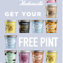 Free pint of Hudsonville Ice Cream