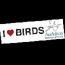 Free I Love Birds Bumper Sticker