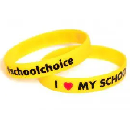 FREE I Love My School Wristbands & More