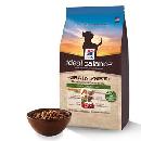 Free Ideal Balance for Dogs