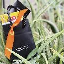 FREE Halloween Goodie Bags