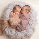 FREE 8x10 Standard Print (Reg $14.99)