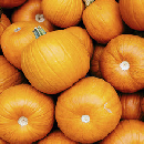 FREE Sweet Treats and a Kid-Sized Pumpkin