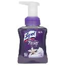 Lysol Touch of Foam Sample