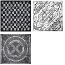 FREE Exclusive Bandana Gift